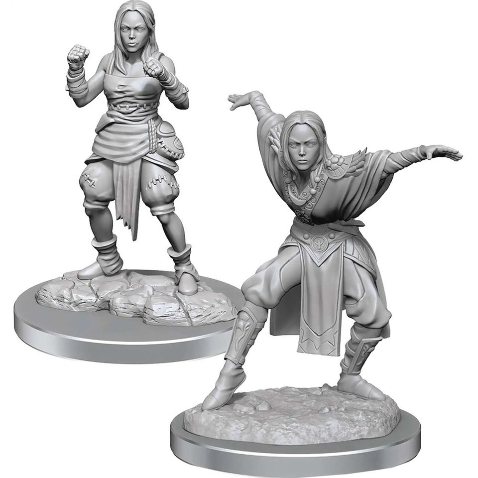 Pathfinder Battles Deep Cuts Miniatures: Half-Elf Monk (F) image