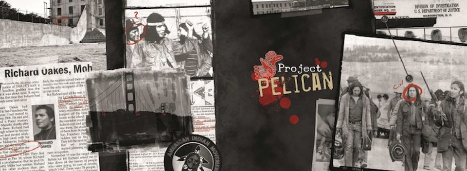Project Pelican : Écran de jeu image