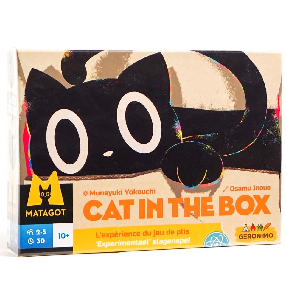 Cat in the Box image