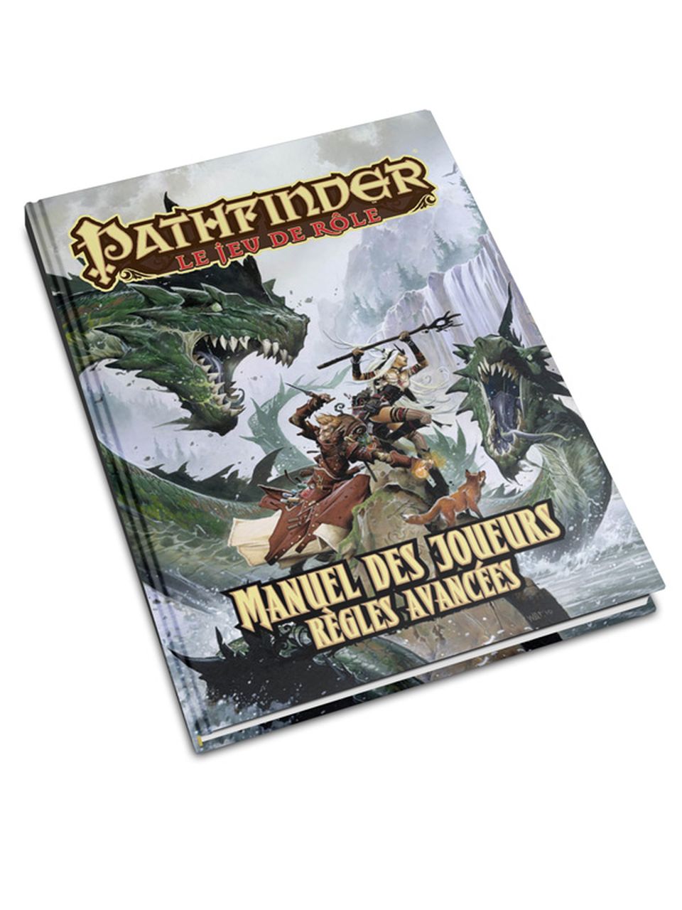 Pathfinder JdR -Manuel des joueurs : règles avancées (2e impression) image
